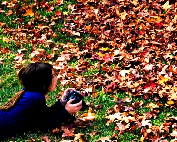 Camera and Leaves, Julie Kruger Photography